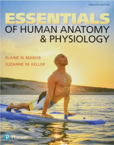 human anatomy and physiology essentials 12th edition textbook