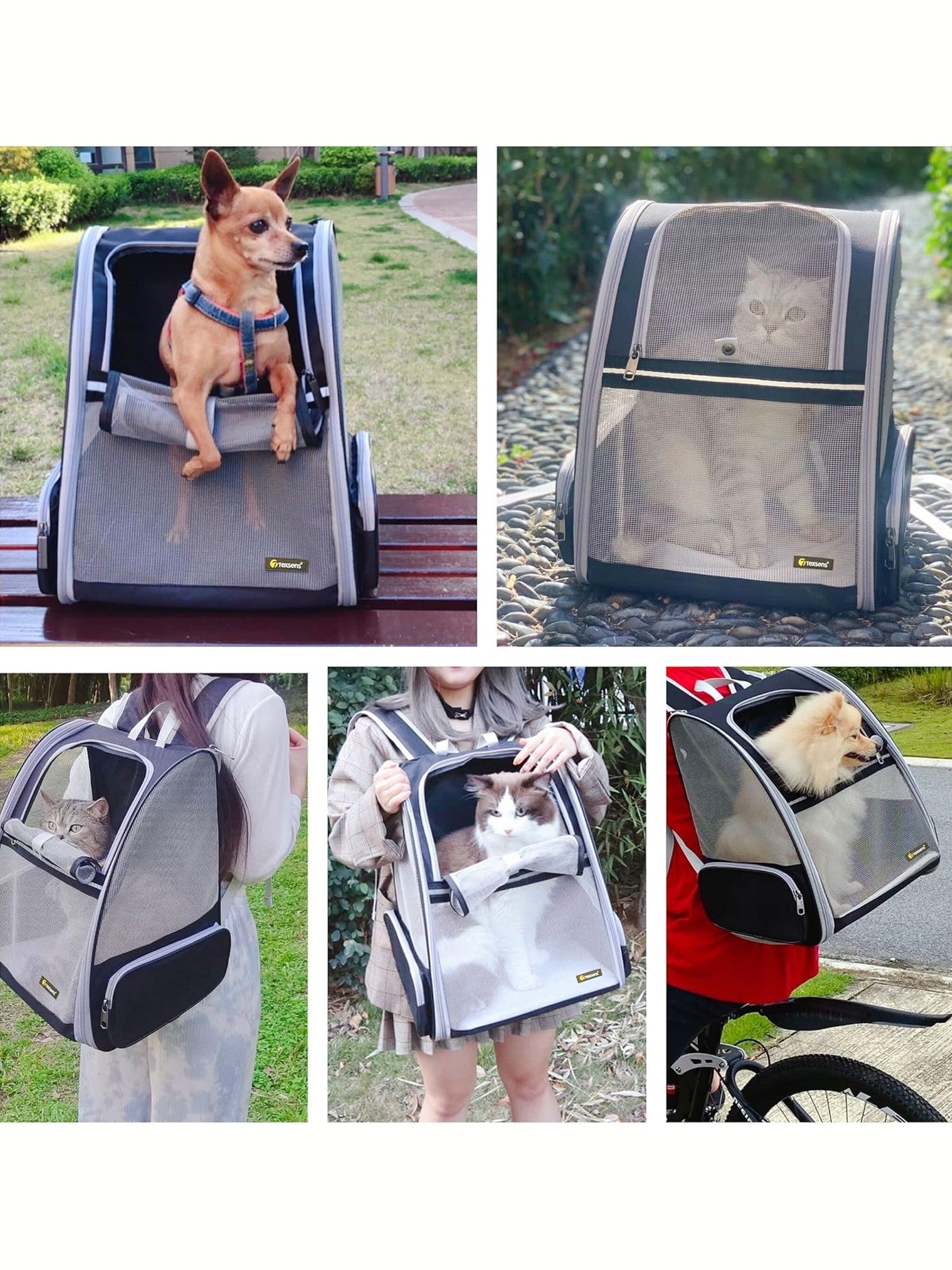 Innovative Traveler Bubble Backpack Pet Carriers for Cats and Dogs (Black)